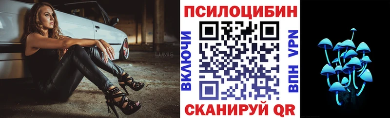 Псилоцибиновые грибы Psilocybine cubensis  Купить закладки  Харабали 